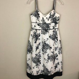 Floral Dress Barn black/white rose print dress, 6P
